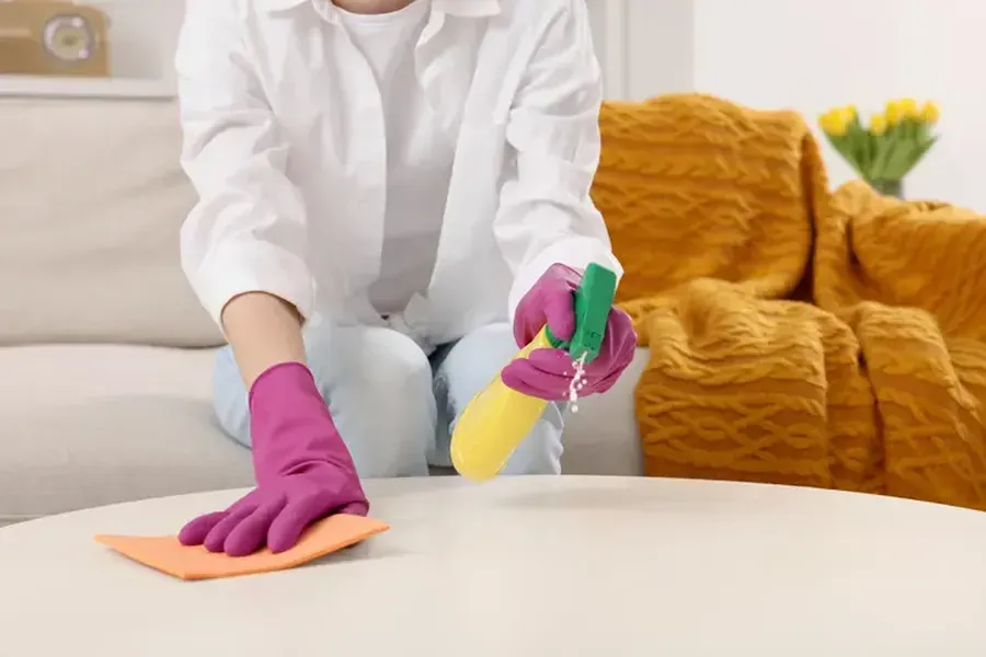 House Cleaning Techniques To Protect Delicate Surfaces in Hudson, NY